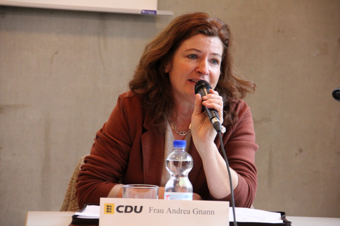 Podiumsdiskussion_11