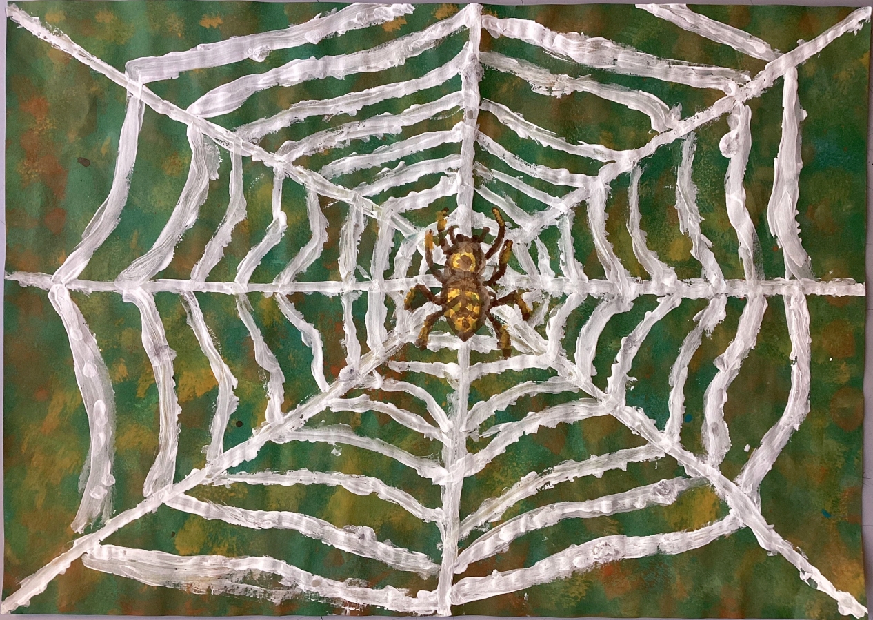 Spinnennetz_5_1